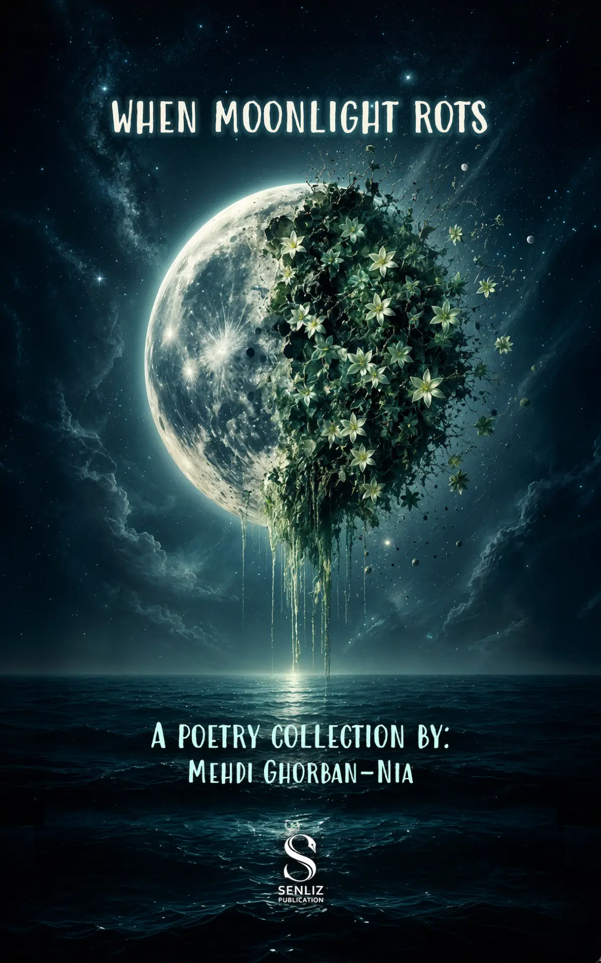 When Moonlight Rots… by Mehdi Ghorban-Nia — book cover